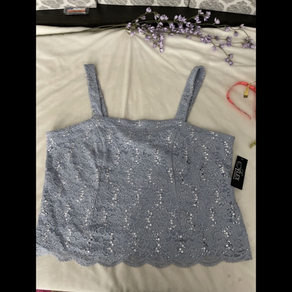 NWT ALEX EVENINGS Lace Sleeveless Square Neck Top Top in Hydrangea [SZ 2X‎ ] - Picture 5 of 14